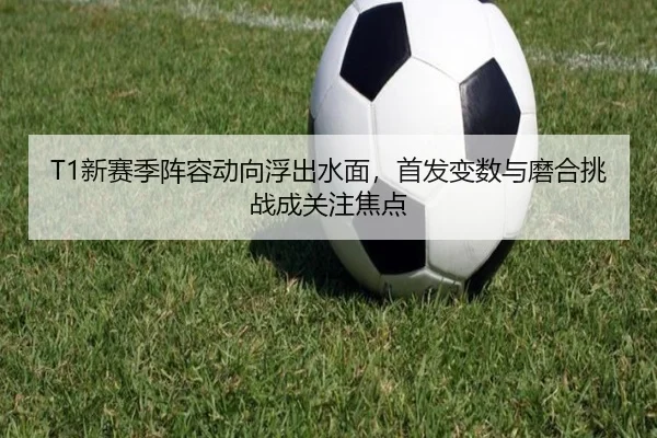 img_1782893596802_495_2_439.jpg